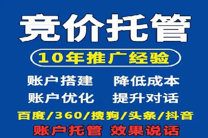 百度竞价策略解析：案例分析及优化建议